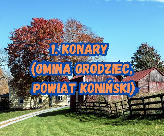 1. Konary (gmina Grodziec, powiat koniński)