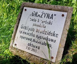 Zachwycająca przyroda i miejsca w Busku-Zdroju