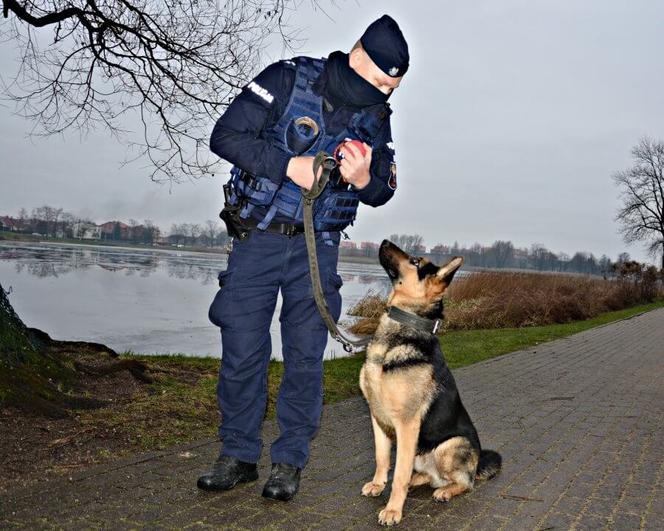 Szarik - nowy policyjny pies w Komendzie Miejskiej Policji w Suwałkach [ZDJĘCIA]