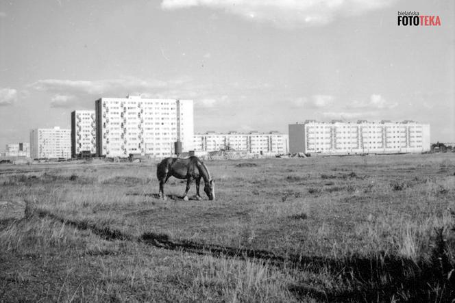 Fotografie Bielan i Żoliborza wyrzucone do śmietnika