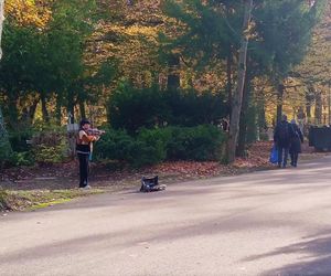 1 listopada na Cmentarzu Centralnym w Szczecinie