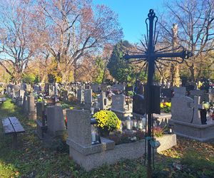 Kwesta na cmentarzu Rakowickim 2025