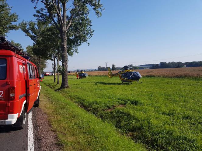 Śmiertelny wypadek na DK 33 w miejscowości Wilkanów