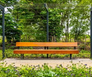 Park linearny przy ul. Suwak w Warszawie
