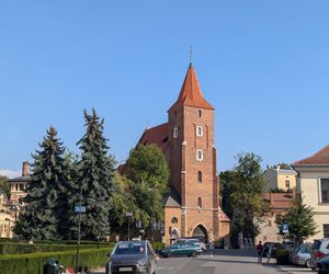 To jedyna taka msza w roku. Do kościoła można przyjść ze zwierzętami