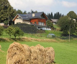 Czym jest zabudowa zagrodowa i jakie warunki powinna spełniać