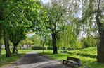 Park Antoniuk
