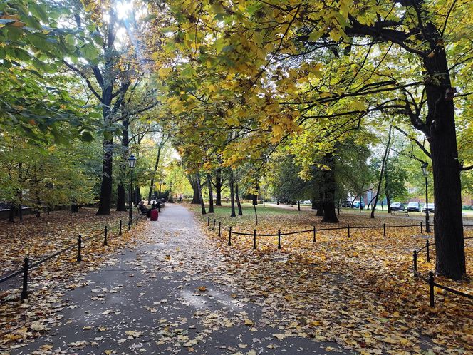 Policja namierzyła sprawców rozboju w Parku Jalu Kurka