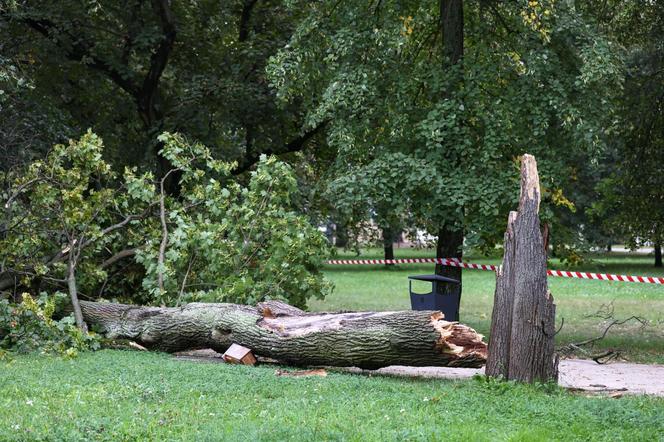 Park wilanowski zamknięty po burzy w Warszawie