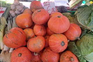 Ceny dyni 2024 na Starym Kleparzu w Krakowie