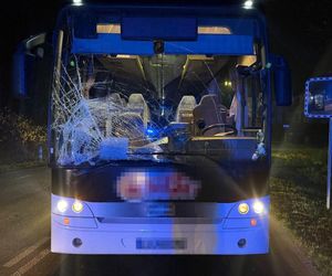 Dramat na drodze. Kierowca autobusu potrącił pieszego. Mężczyzna zmarł w szpitalu