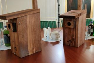 Budki lęgowe dla ptaków