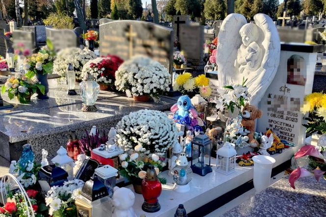 Kamilek z Częstochowy