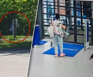 Hit! Złodziejka myślała, że zmyli policję udając drzewo