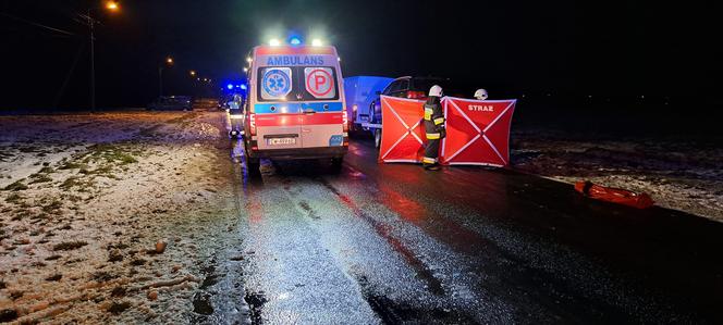 Tragiczne potrącenie pod Włocławkiem! Pieszy zginął na miejscu [ZDJĘCIA]