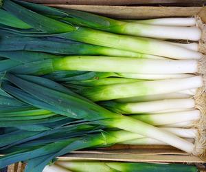 Lubisz pory? Sprawdź, co się dzieje po ich zjedzeniu 