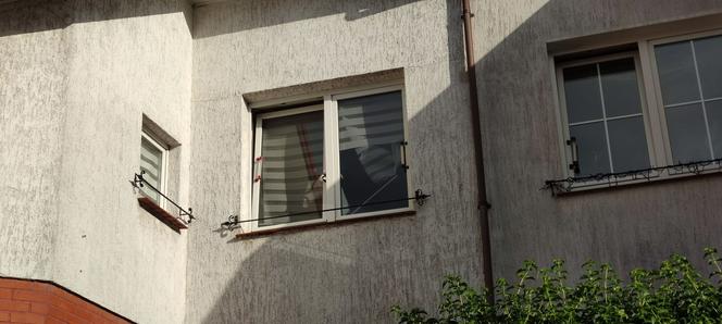 Uchylone okno przyczyną tragedii. Kot umierał w męczarniach