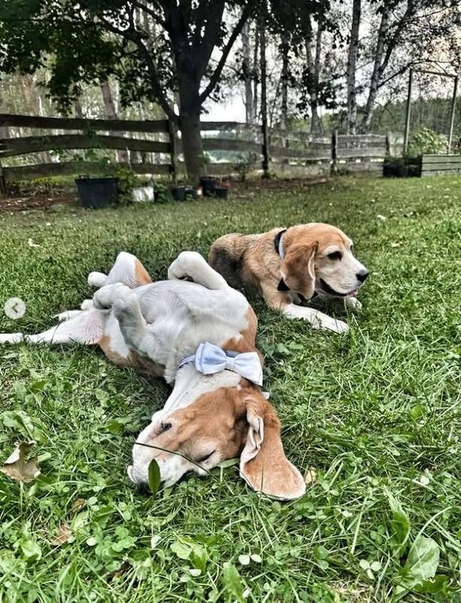 Karolina Nolbrzak i Włodzimierz Matuszak