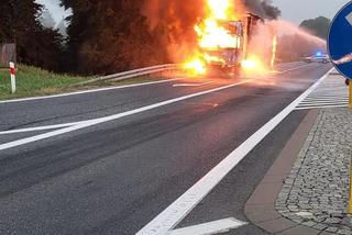 Pożar ciężarówki na DK 10 w Makowiskach [ZDJĘCIA]