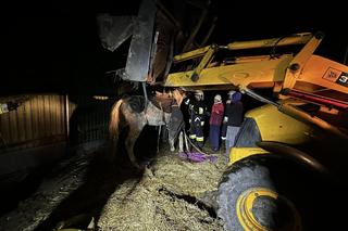 Strażacy z Solca Kujawskiego stawiali konia na nogi! Nietypowa interwencja na wagę życia