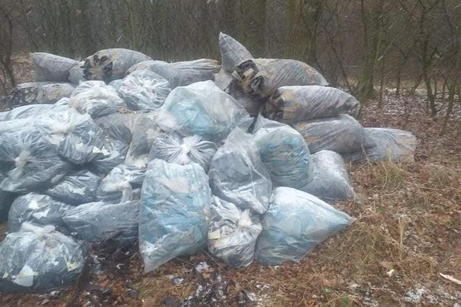 W lesie w pow. górowskim ktoś wyrzucił worki ze skórą