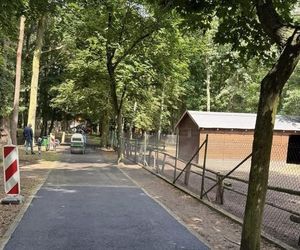 Woda w każdej zagrodzie zwierząt w Parku Chopina już za chwilę