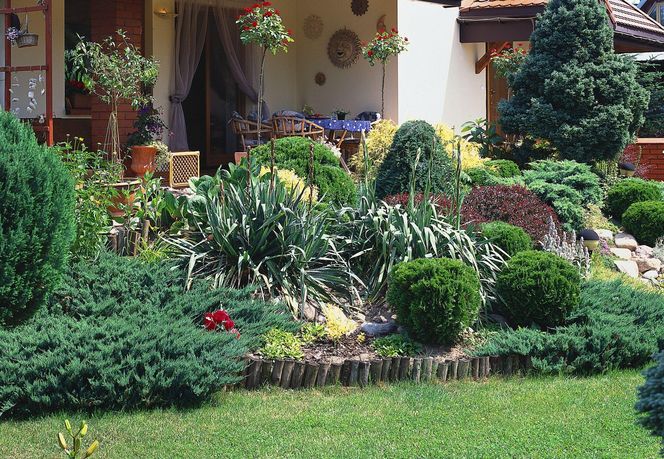 Skarpa przy tarasie obsadzona roślinami