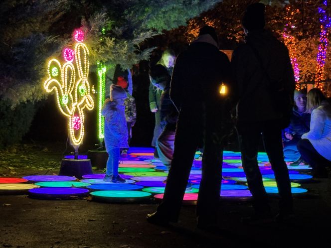 Garden of Lights we Wrocławiu