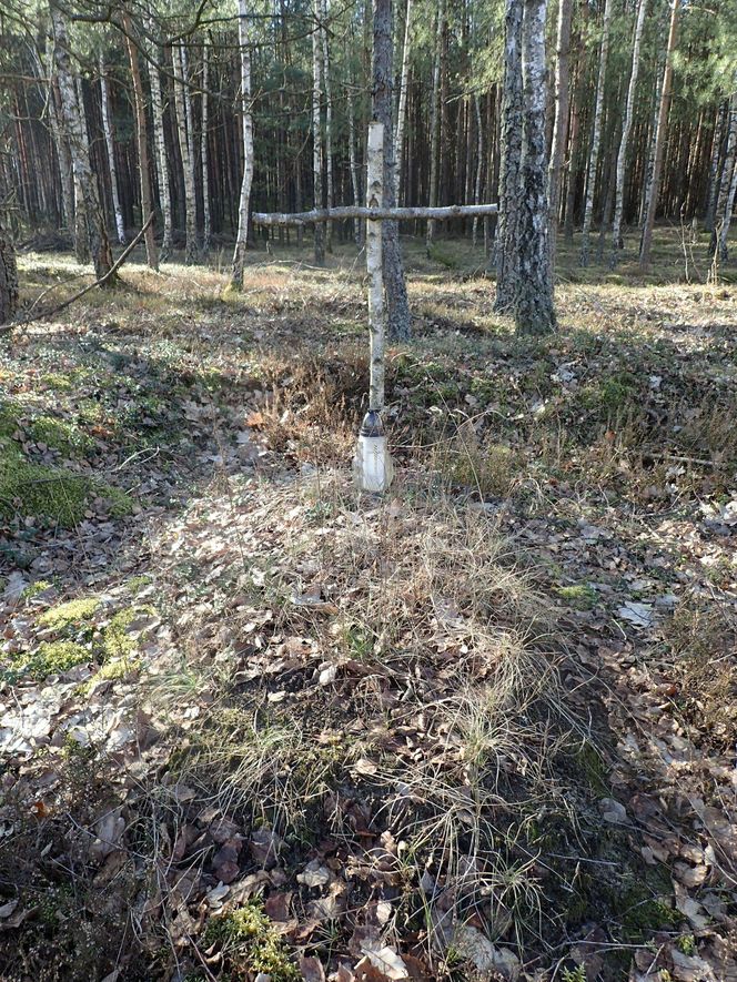 Ludzkie szczątki przy torach pod Świeciem! Tajemnica grobu w końcu wyszła na jaw