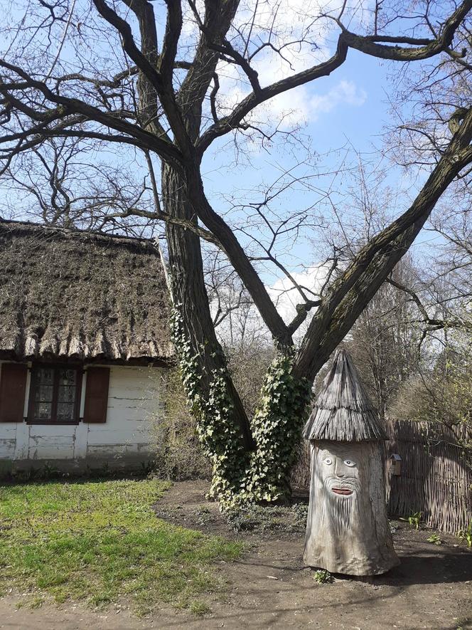 Łódzki Ogród Botaniczny obchodzi 50-lecie. To miejsce rozkwita i czeka na gości