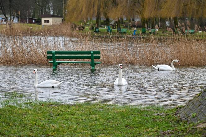 Podtopienia w Szczecinie