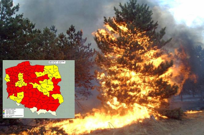  Wysokie ryzyko pożarów w całej Polsce. Prawie cała mapa na czerwono [MAPA]