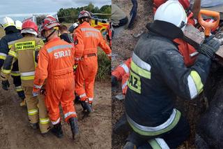 Bukowiec: Zawalił się strop nad oborą i zabił sześć krów! Ranny mężczyzna trafił do szpitala [ZDJĘCIA]