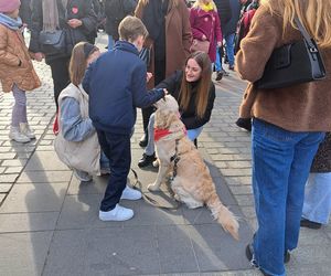 33. Finał WOŚP z grupą krakowskich Golden Retrieverów