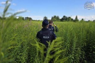 Wciąż trwają poszukiwania 89-letniego Wiktora Graca. Policja ponownie apeluje o pomoc