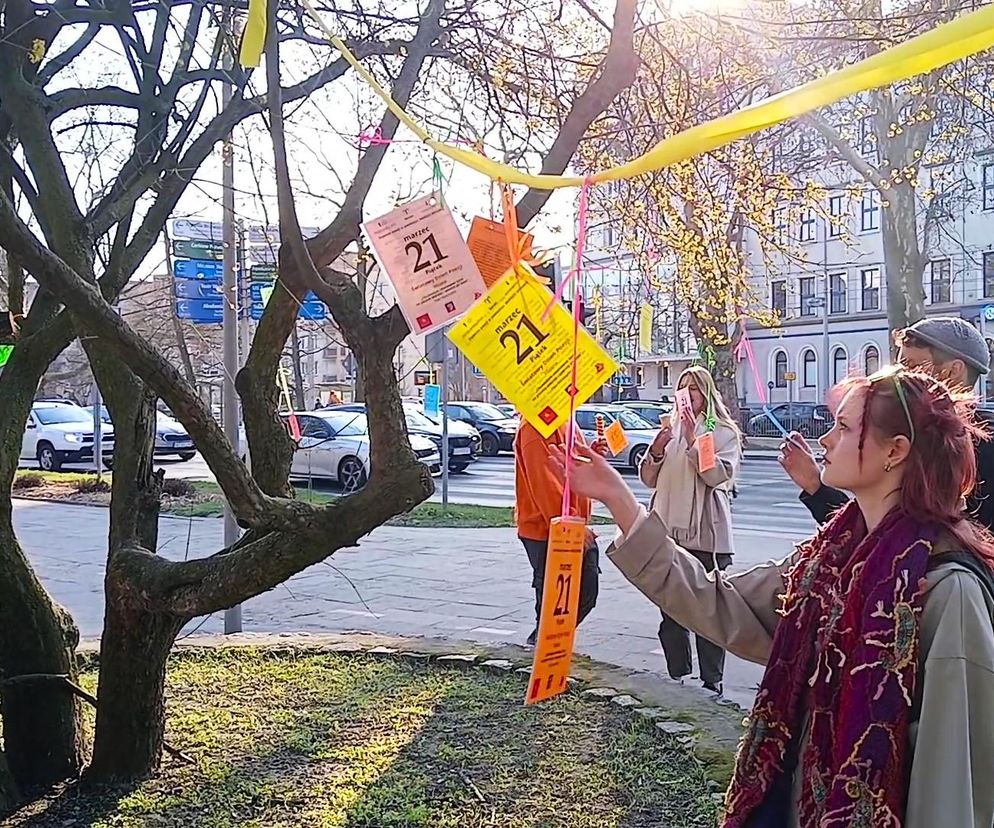 Na drzewach zakwitły... wiersze! Wiosenna akcja w centrum Szczecina