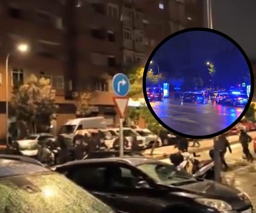 Burdy kibiców Lecha i Rayo