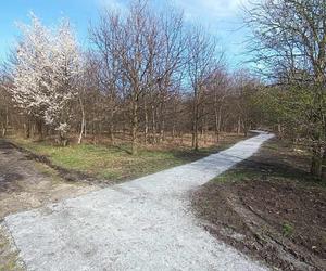 Miasto chwali się Parkiem Krzyckim. Na hucznym otwarciu mieszkańcy zastali plac budowy 