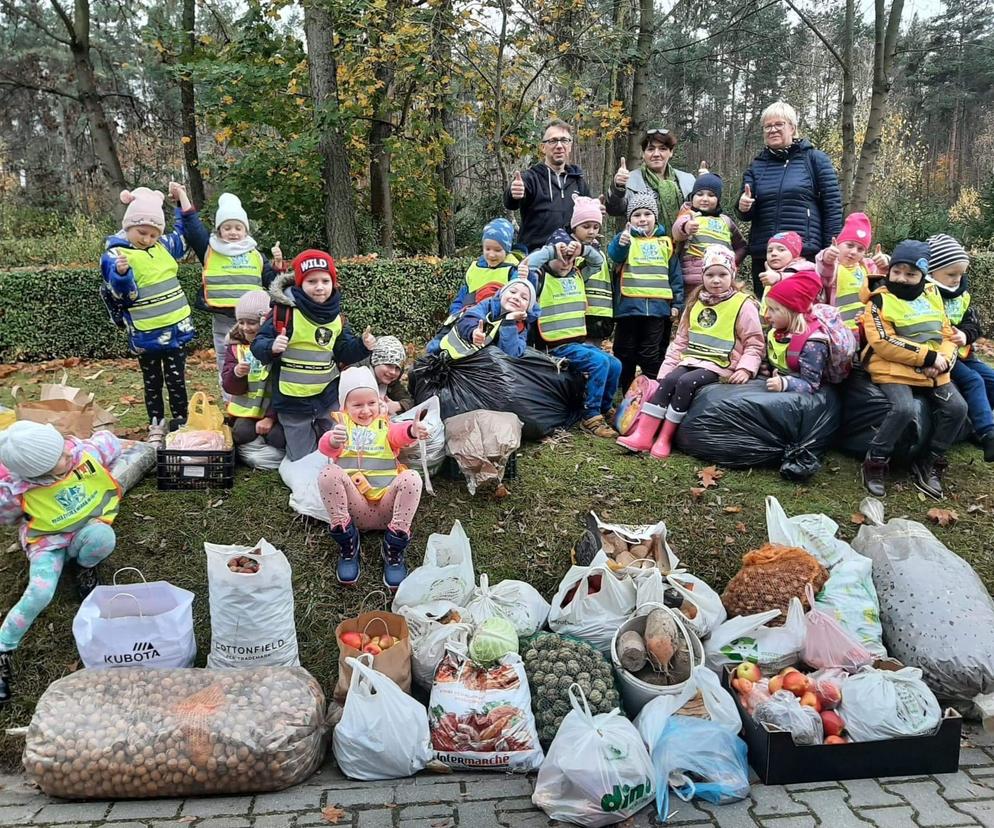 Dzieci z Przedszkola nr 9 zebraly karmę dla zwierzyny leśnej
