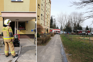 Nie żyje mieszkanka Leszna. Zginęła w pożarze