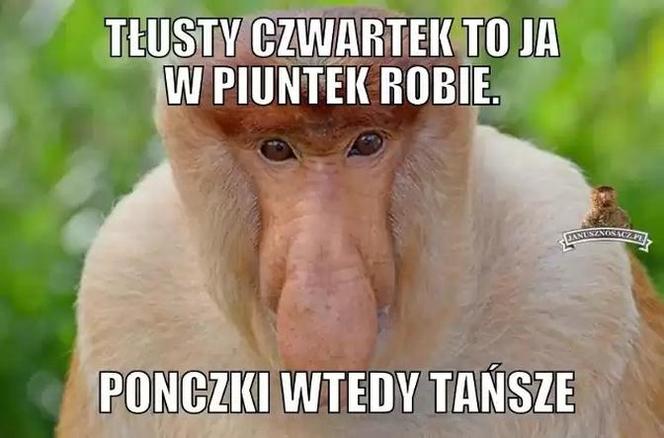 Memy na tłusty czwartek 2024 [GALERIA]