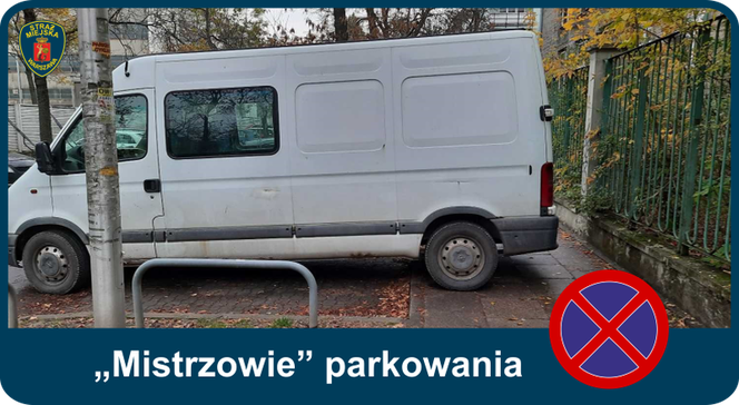 Mistrzowie parkowania. Tak kierowcy parkują w Warszawie