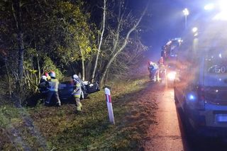 Śmiertelny wypadek pod Bełchatowem. 29-latka uderzyła audi w drzewo [ZDJĘCIA]