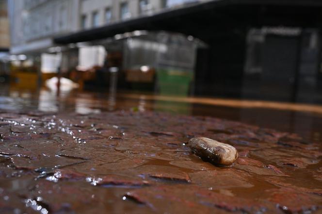 Koszmarna powódź. Po zalanych ulicach pływają piranie i kajmany. Ludzie w panice