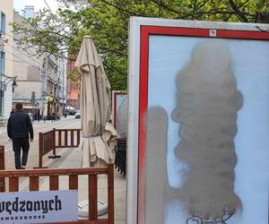 Kontrowersyjna wystawa we Wrocławiu. Mieszkańcy są oburzeni. Co artysta miał na myśli?