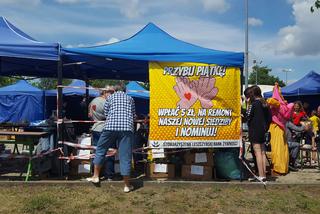 Piknik Polonijny obok Polonia Euro 2021