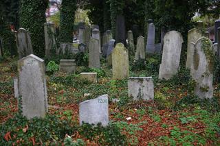 Bielsko-Biała: cmentarz żydowski zdewastowany! Zniszczonych aż kilkadziesiąt nagrobków! Trwają poszukiwania sprawców