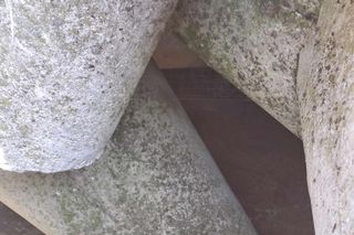 Pies spod falochronu w Kołobrzegu uratowany