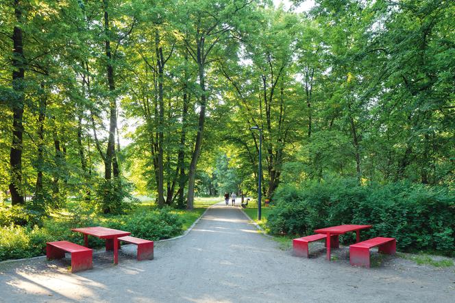 Park Chrobrego w Gliwicach 6