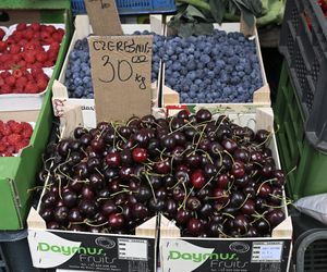  Ceny nowalijek na warszawskich bazarach szokują. Byliśmy i sprawdziliśmy ile trzeba zapłacić